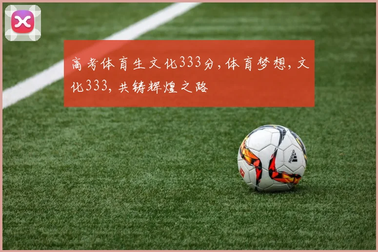 高考体育生文化333分,体育梦想,文化333,共铸辉煌之路
